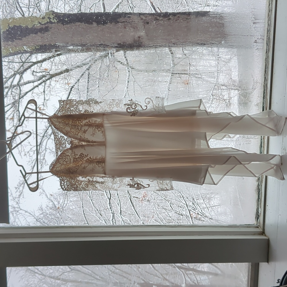 Soiéblu Cream Long sleeve Strapless Lace V Neck Dress
